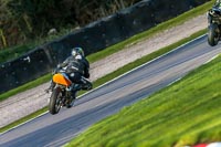 Oulton-Park-20th-March-2020;PJ-Motorsport-Photography-2020;anglesey;brands-hatch;cadwell-park;croft;donington-park;enduro-digital-images;event-digital-images;eventdigitalimages;mallory;no-limits;oulton-park;peter-wileman-photography;racing-digital-images;silverstone;snetterton;trackday-digital-images;trackday-photos;vmcc-banbury-run;welsh-2-day-enduro